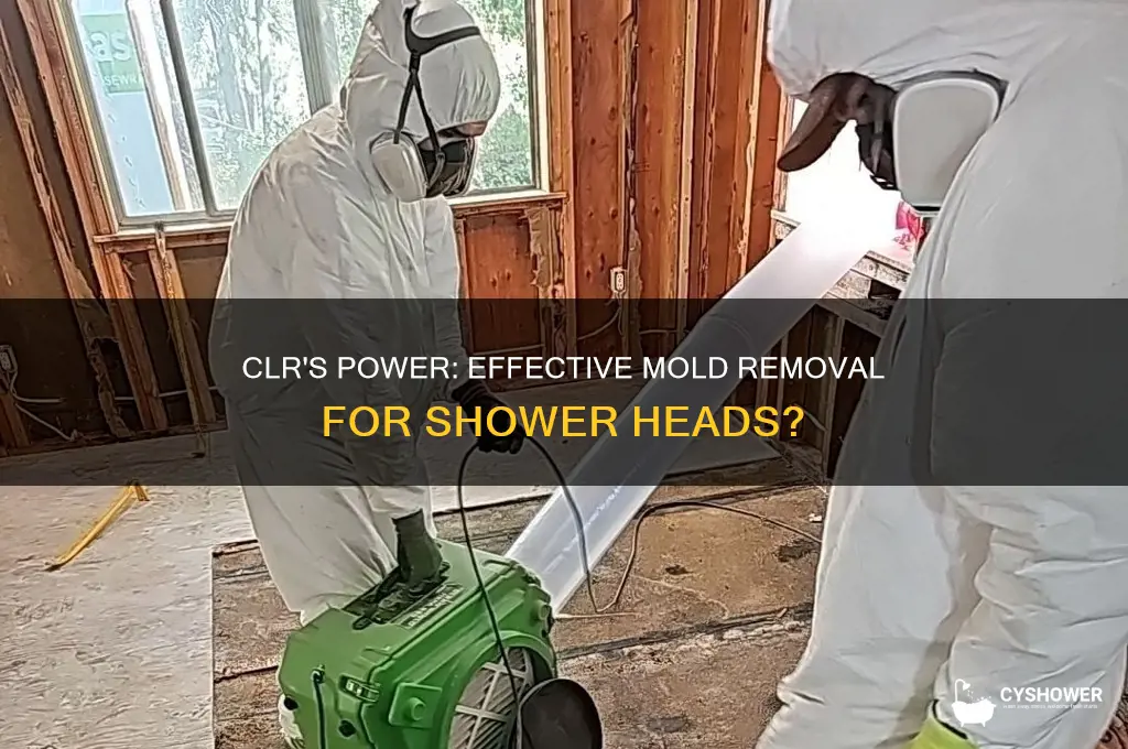 does clr remove mold from shower heads