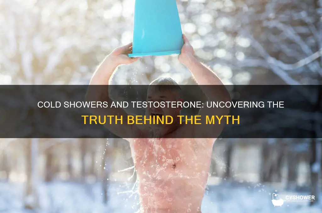 does cold water shower increase testosterone