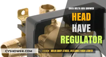 Does Delta Ara Shower Head Include a Pressure Regulator?