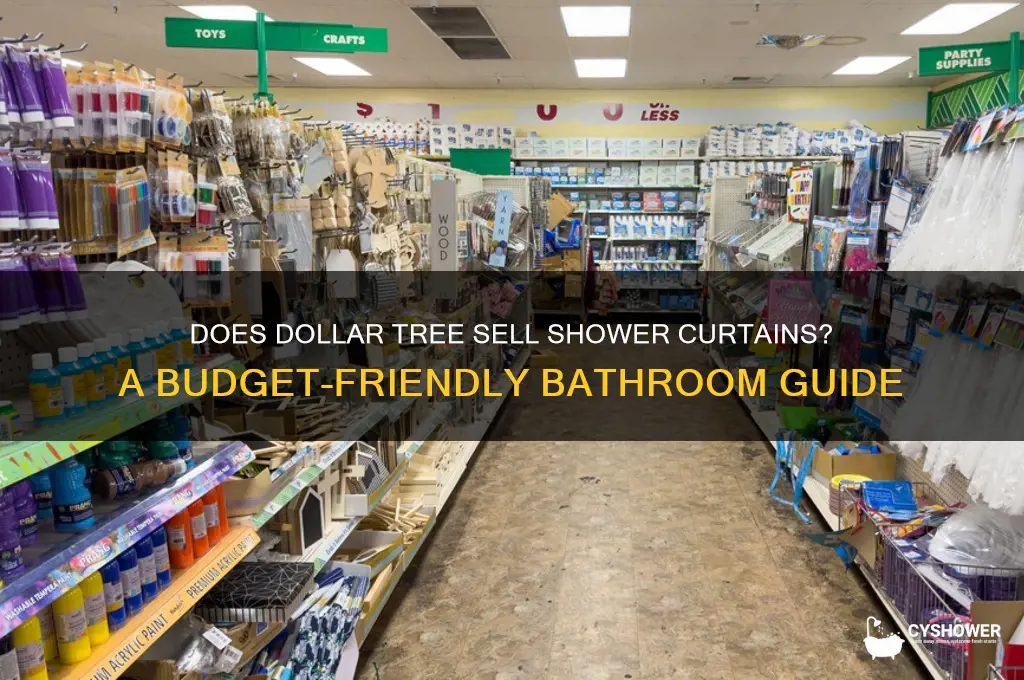 does dollar tree have shower curtains
