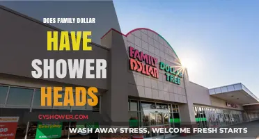 Does Family Dollar Sell Shower Heads? A Quick Shopping Guide
