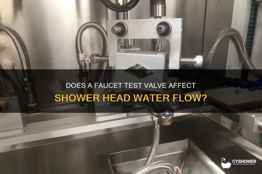 does faucet test valve block water from shower head