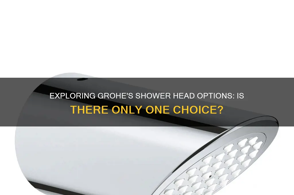 does grohe have only one shower head