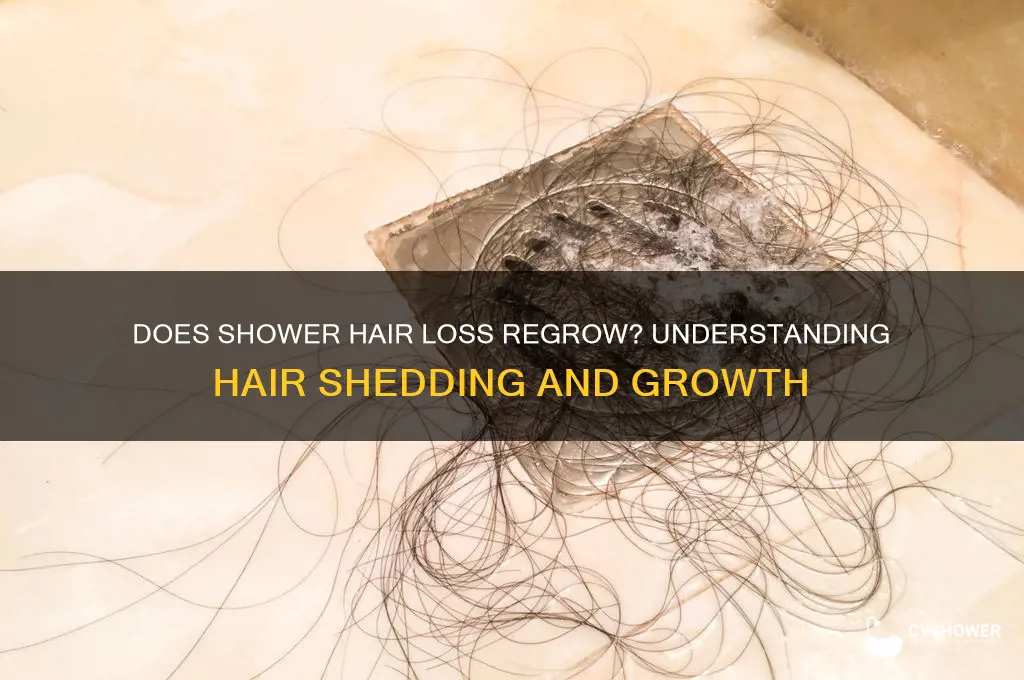 does hair that falls out during shower grow back