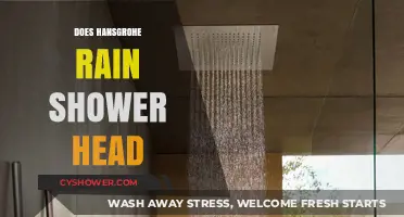 Does Hansgrohe Rain Shower Head Deliver a Luxurious Shower Experience?