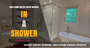 Hard Water and Mildew: Uncovering the Shower Connection