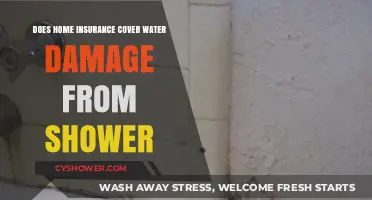 Does Home Insurance Cover Shower Water Damage? What You Need to Know