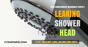 Does Homeowners Insurance Cover Leaking Shower Head Repairs?