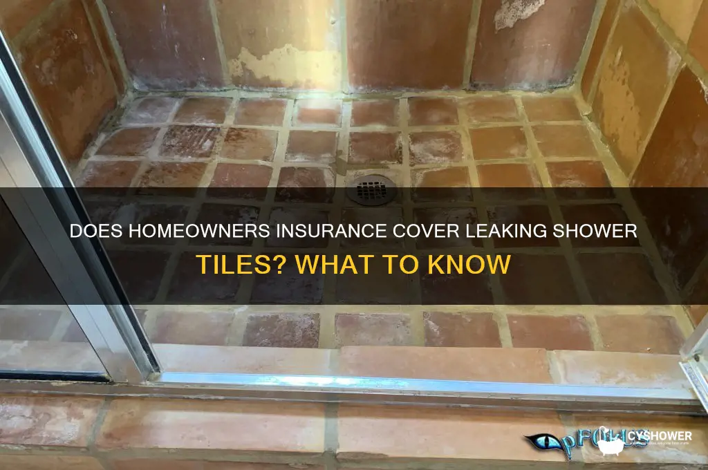 does homeowners insurance cover leaking shower tiles