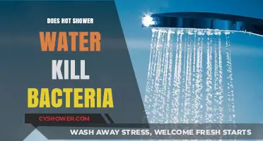 Hot Showers and Bacteria: Can Temperature Kill Germs Effectively?