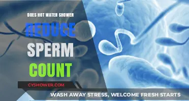Hot Water Showers and Sperm Count: Fact or Fiction?