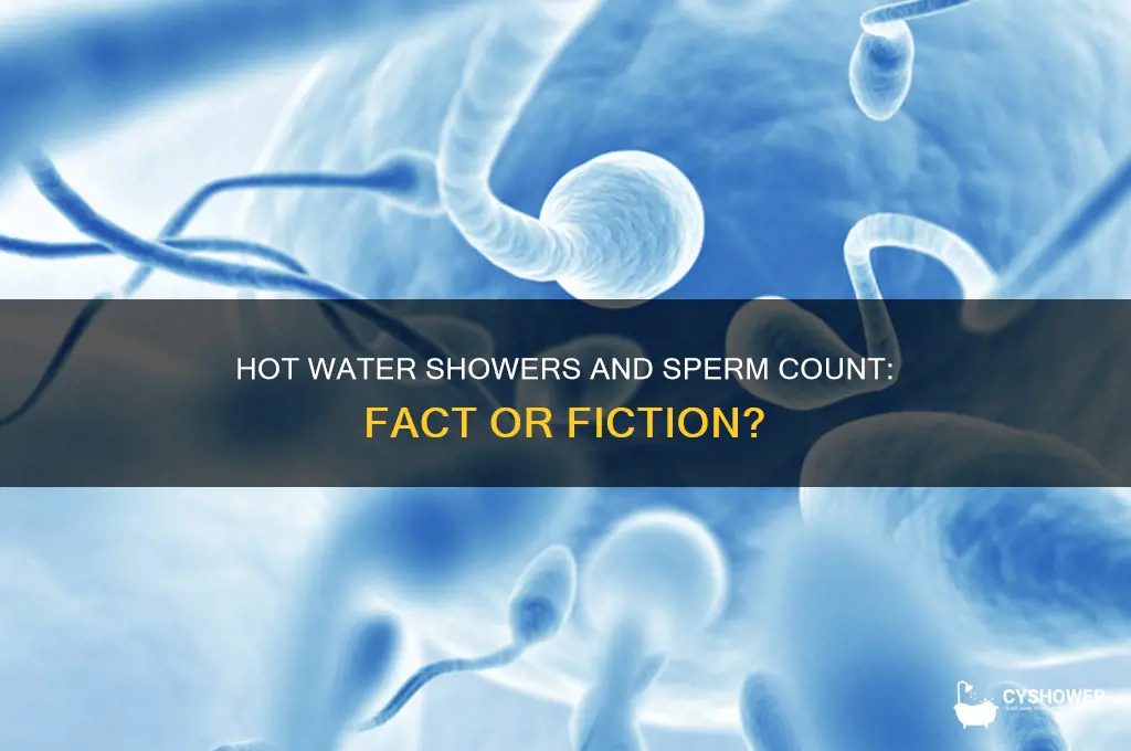 does hot water shower reduce sperm count