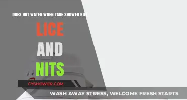 Hot Showers and Lice: Can Heat Kill Nits and Eggs?