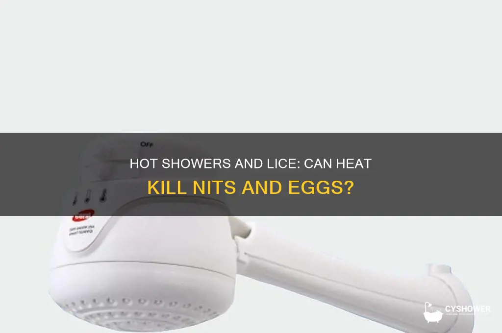 does hot water when take shower kill lice and nits