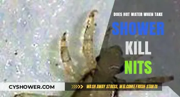 Hot Water Showers: Effective Nit Treatment or Myth?