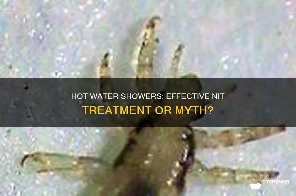 does hot water when take shower kill nits