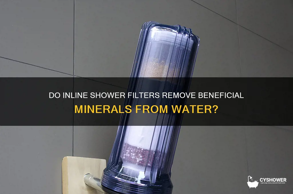 does inline shower filter also remove minerals