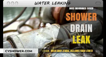 Does Homeowners Insurance Cover Shower Drain Leaks? What You Need to Know