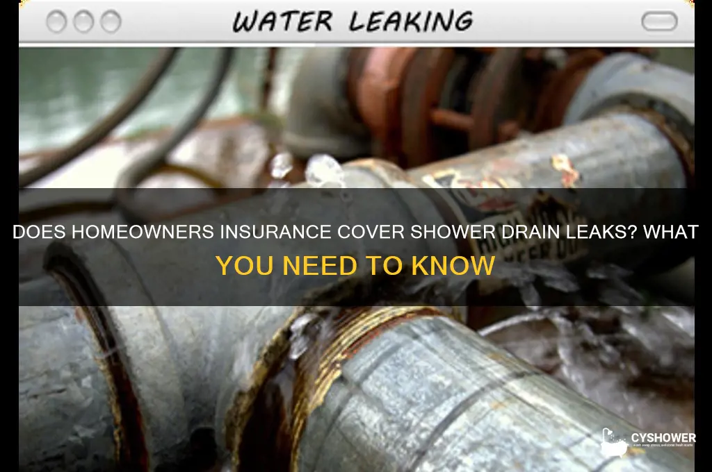 does insurance cover shower drain leak