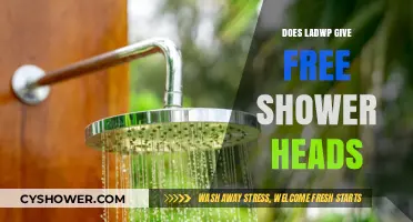 Does LADWP Offer Free Shower Heads? Find Out Here