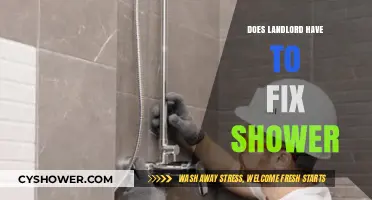 Landlord Responsibilities: Must They Repair Your Broken Shower?