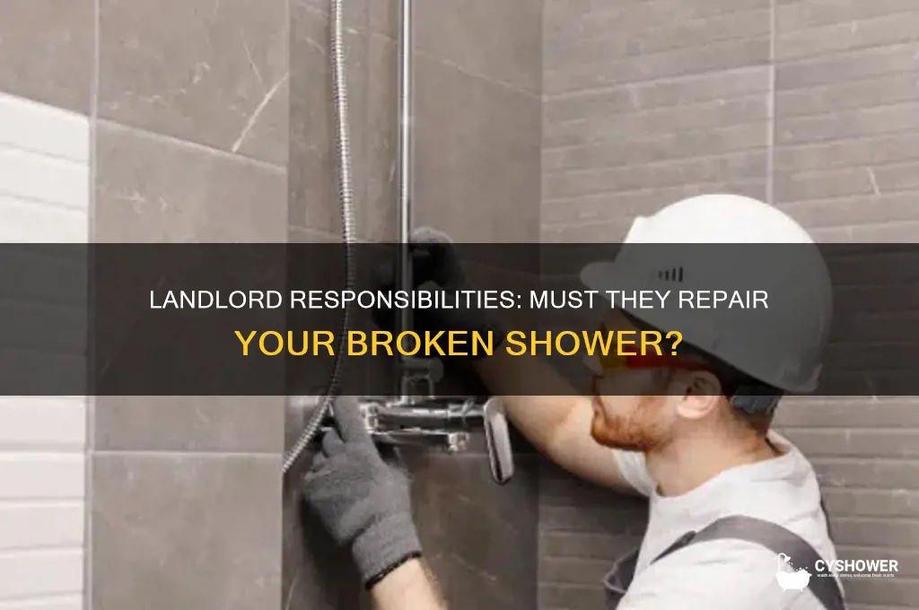 does landlord have to fix shower