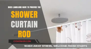 Landlord Responsibilities: Must They Provide a Shower Curtain Rod?