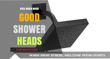 Moen Shower Heads Review: Quality, Durability, and Performance Explained