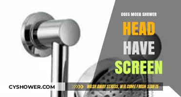 Does Your Moen Shower Head Have a Screen? Find Out Here
