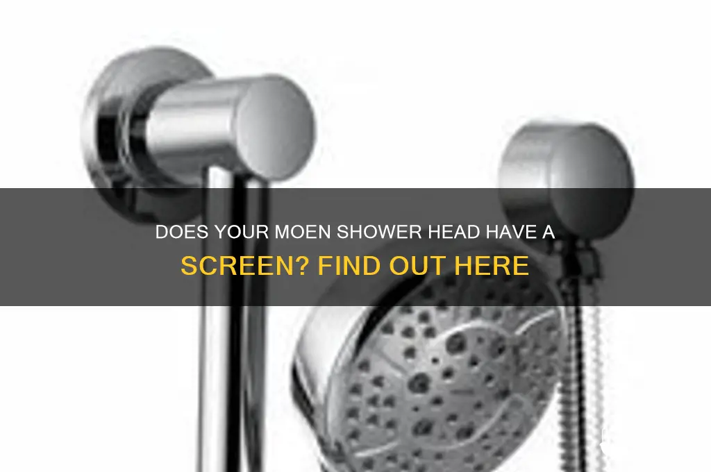 does moen shower head have screen