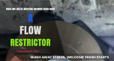 Does Your Delta In2ition Shower Head Have a Flow Restrictor?