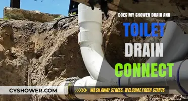 Are Shower and Toilet Drains Connected? Plumbing Insights for Homeowners