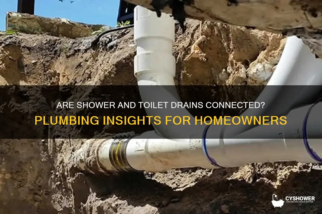 does my shower drain and toilet drain connect