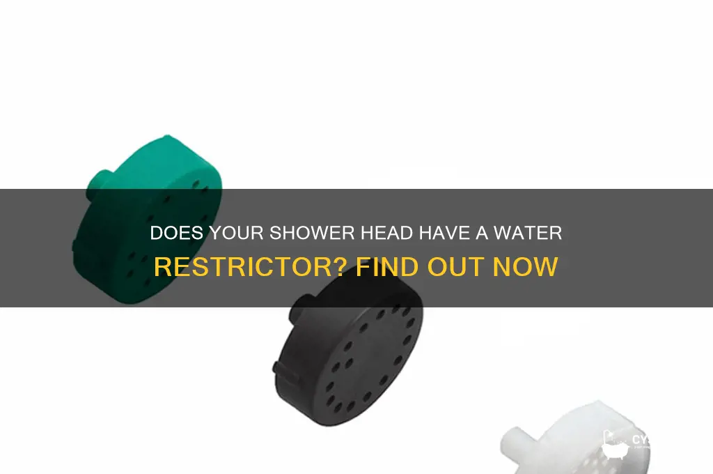 does my shower head have a water restrictor