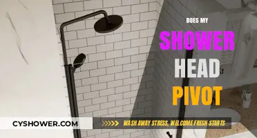 Does Your Shower Head Pivot? A Guide to Flexibility and Function