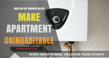 No Hot Water: Is Your Apartment Legally Uninhabitable?
