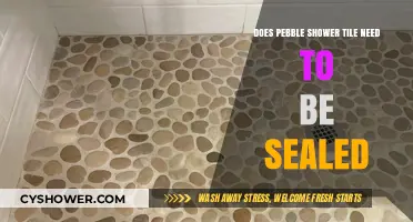 Should You Seal Pebble Shower Tile? Essential Maintenance Tips Revealed