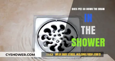 Does Shower Pee Really Disappear Down the Drain?
