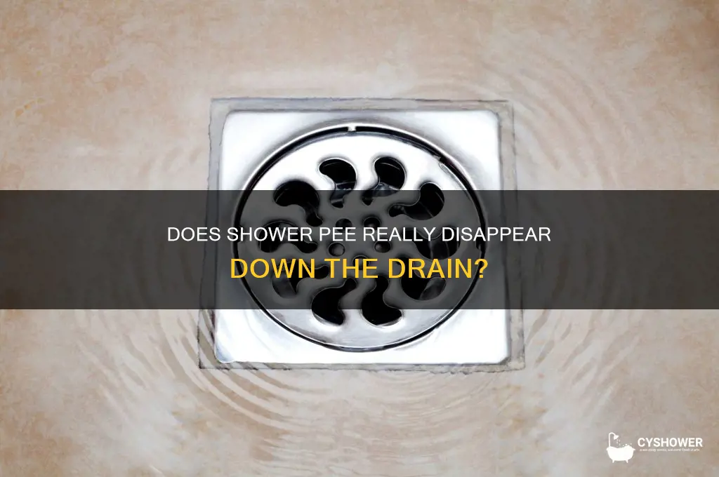 does pee go down the drain in the shower