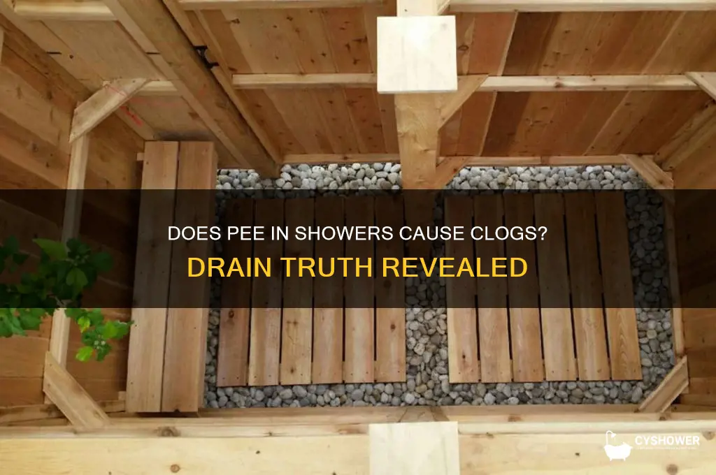 does pee make shower drains clog