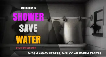 Peeing in the Shower: A Water-Saving Hack or Just a Myth?