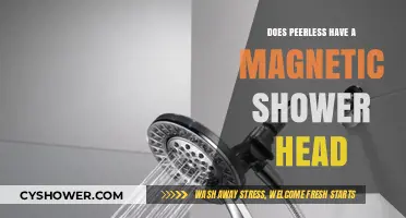 Does Peerless Offer a Magnetic Shower Head? Exploring Features and Benefits