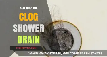 Pubic Hair in Drains: Myth or Shower Clogging Culprit?