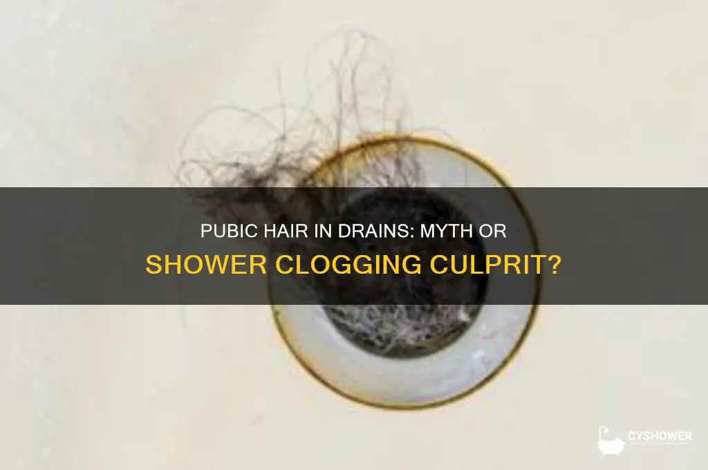 does pubic hair clog shower drain