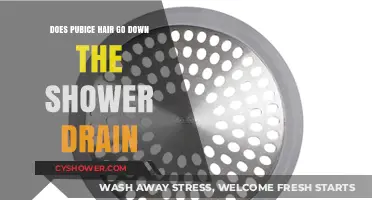 Does Pubic Hair Clog Shower Drains? A Comprehensive Guide
