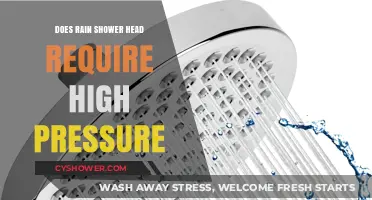 Rain Shower Heads: Do They Really Need High Water Pressure?