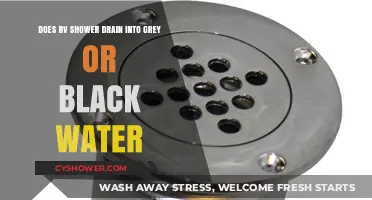 RV Shower Drain: Grey or Black Water Tank?