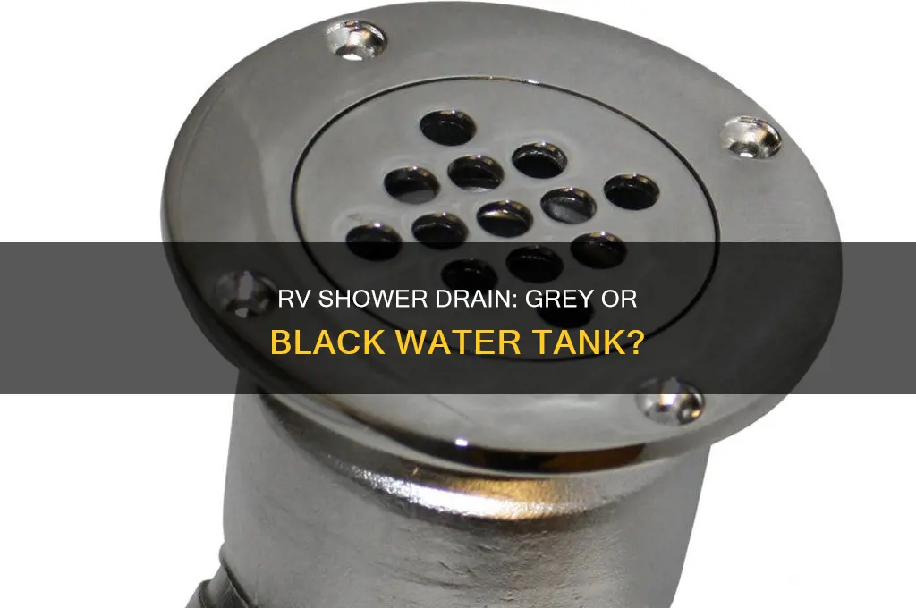 does rv shower drain into grey or black water