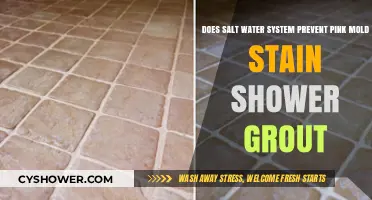 Salt Water Systems: Effective Against Pink Mold Stains in Shower Grout?