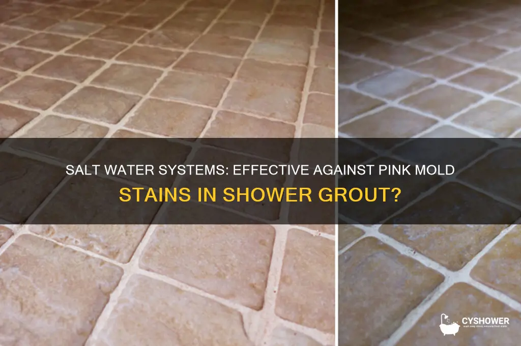 does salt water system prevent pink mold stain shower grout